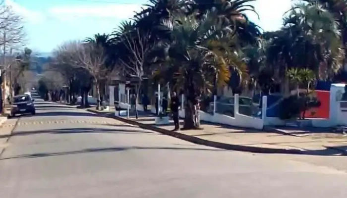 Asse -    Hospital De Castillos Videos - Castillos