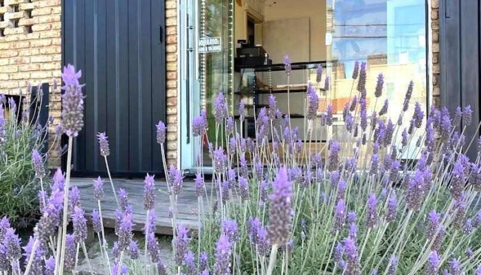 Atelier Del Sabor -  Del Propietario - Montevideo