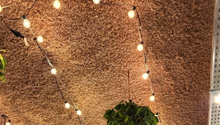 Atipico Comentario 6 - Montevideo