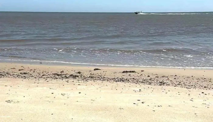 Atlantida -  Videos - Las Toscas