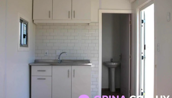 Atrapasuenos Dr Javier Orrego Del Propietario - Sauce