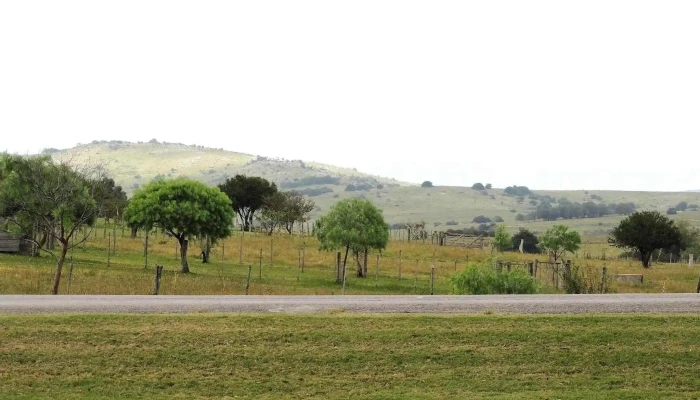 Audiobible - 20000 San Carlos