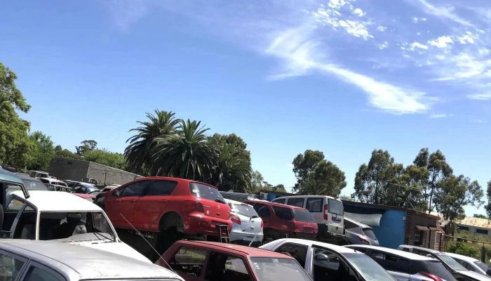 Autopartes 19 - 12200 Montevideo