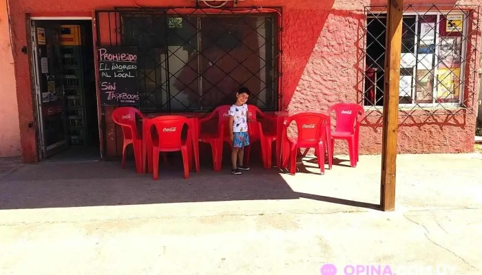 Autoservice El Desafio Del Propietario - Castillos