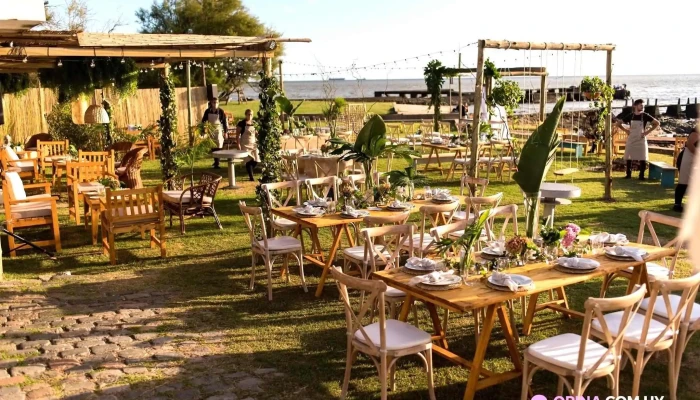 Ava Experiencia Gourmet -  Ambiente - Montevideo