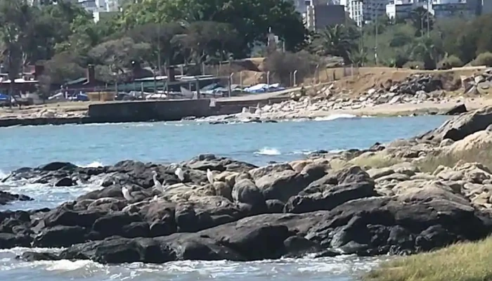 Ava Experiencia Gourmet -  Videos - Montevideo