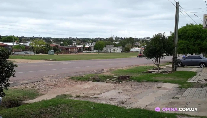 Avenida Italia Y Reus -  Todas - Melo