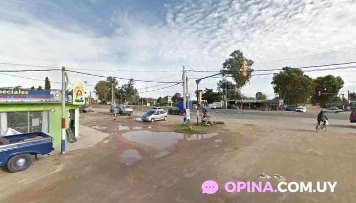 Avicola - Ciudad De La Costa