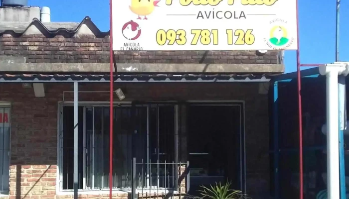 Avícola Pollo Pillo - 15700 Villa Crespo Y San Andrés