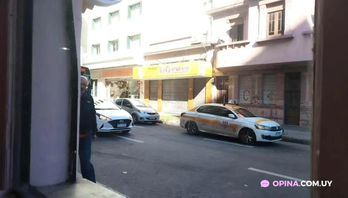 Avocado -  Videos - Montevideo