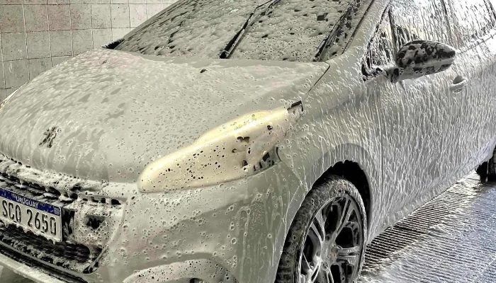 Axion -  Comentario 7 - Punta del Este