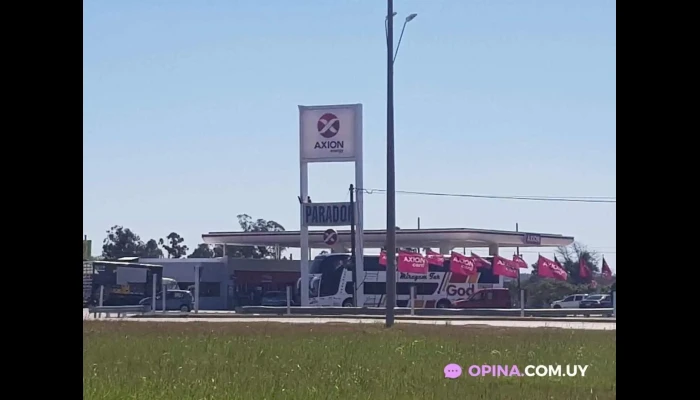 Axion Rocha -  Interior - Rocha