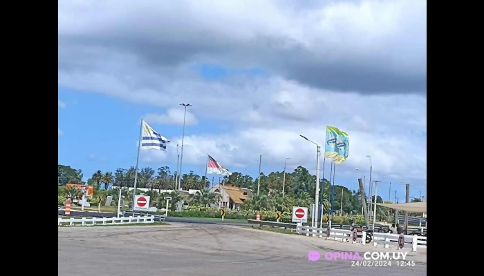 Axion Rocha -  Mas Recientes - Rocha