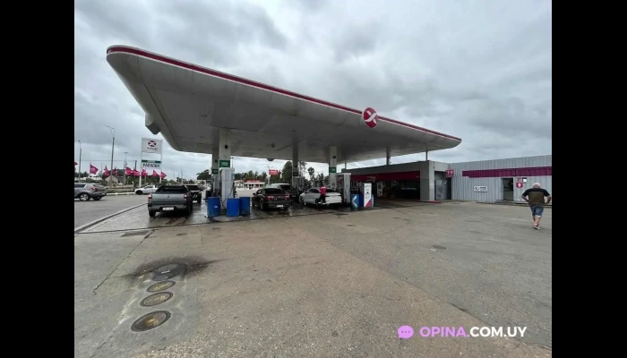 Axion Rocha -  Todas - Rocha