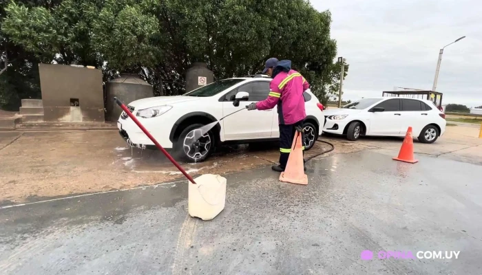 Axion Rocha -  Videos - Rocha