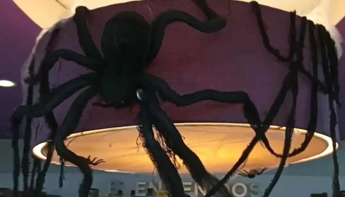 Axion -  Videos - Punta del Este