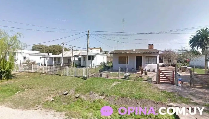 Baba - José Trasante