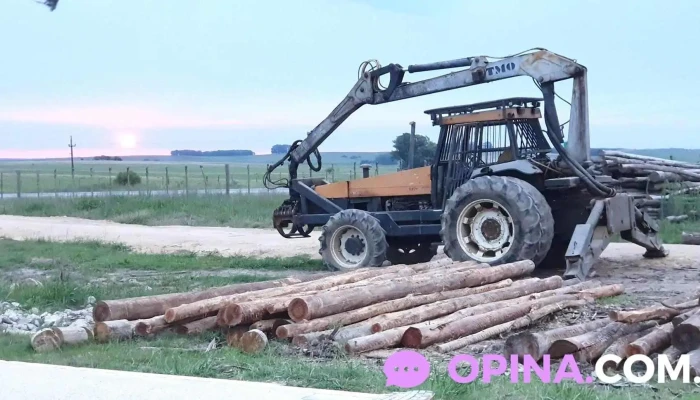 Balanza siporal - 96500 Alejandro Gallinal