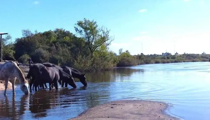 Balneario Independencia -  Lago - Durazno