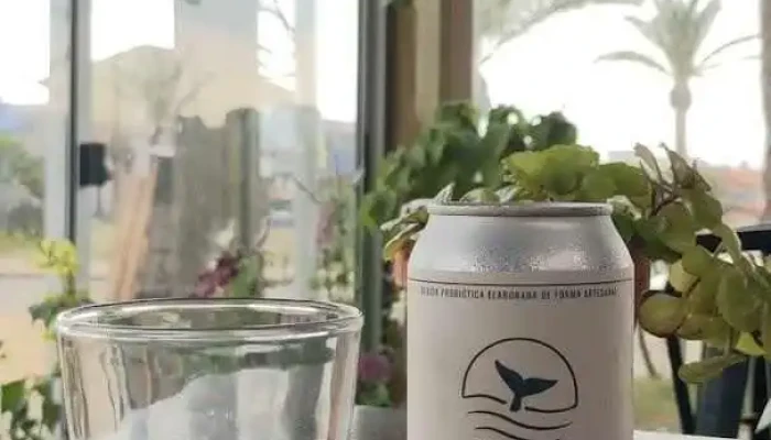 Bambu Cafe Videos - La Paloma