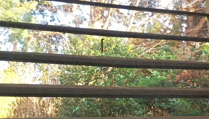 Banco De Protesis Puntaje - Montevideo