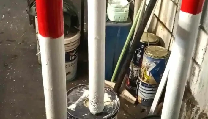 Banco De Protesis Videos - Montevideo