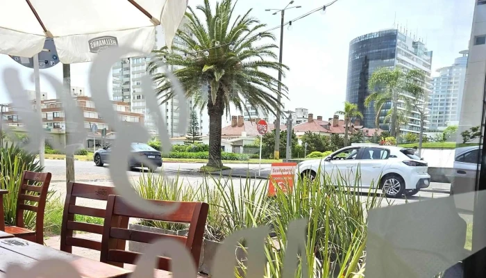 Bar Arocena -  Comentario 7 - Punta del Este