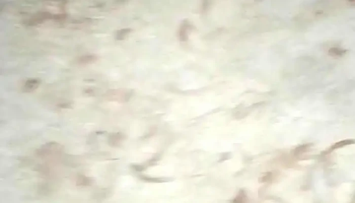 Bar Catalan Videos - Montevideo