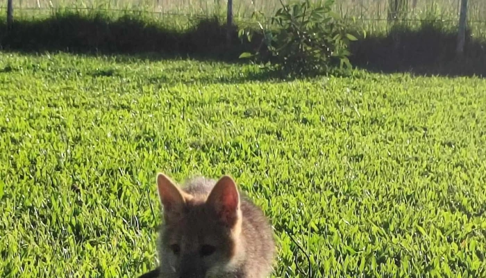 Bar Del Cachango -  Comentario 2 - Rocha