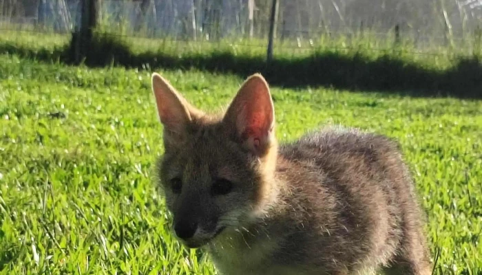 Bar Del Cachango -  Comentario 4 - Rocha