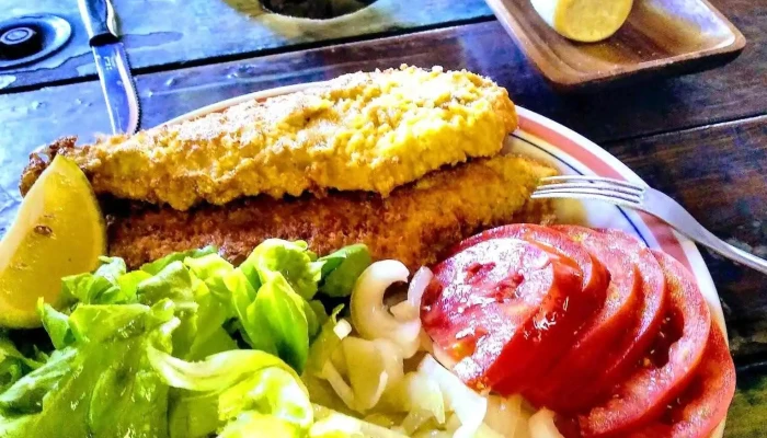 Bar El Morrocoyo -  Comidas Y Bebidas - Montevideo