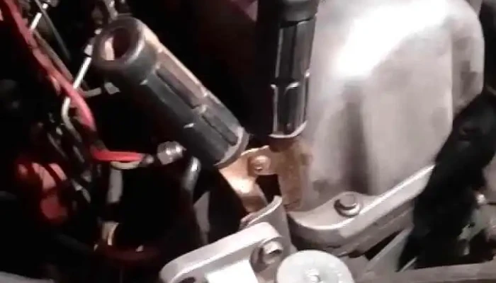 Bar Genoves -  Videos - Montevideo