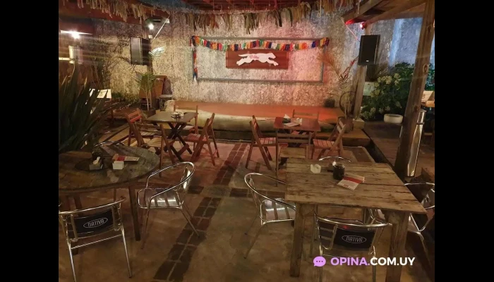 Bar La Onda -  Ambiente - La Paloma