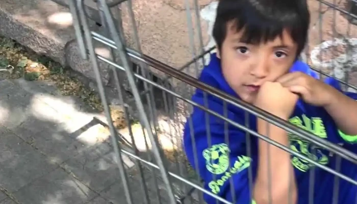 Bar La Tortuga -  Videos - Montevideo