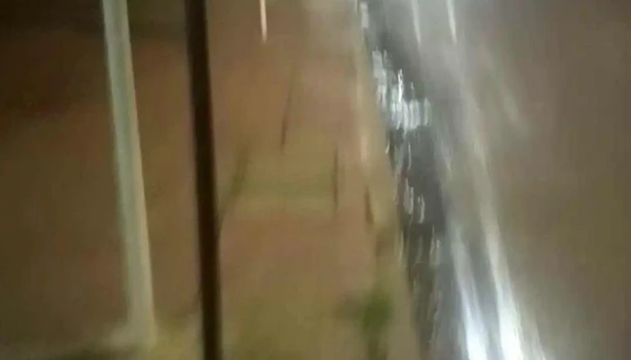 Bar Los 2 -  Videos - Tala