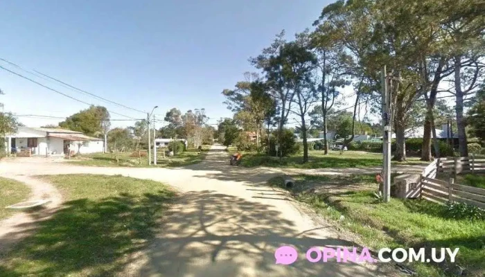 Bar Voló la Gorda - La Paloma Bar Voló la Gorda - La Paloma