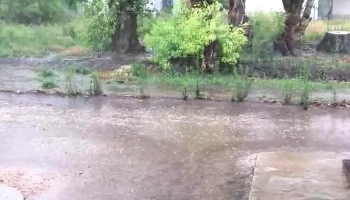 Bar Y Pool Diaz -  Videos - Ordeig