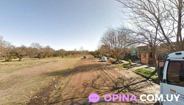 Barber Flex - Pompom - 50000 Salto