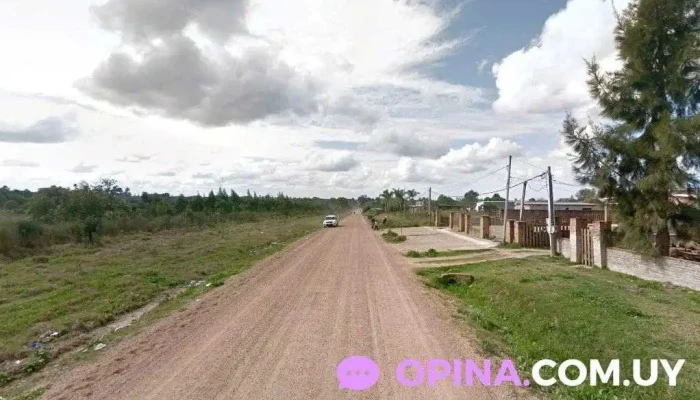 Barber_Men - 15600 Pando