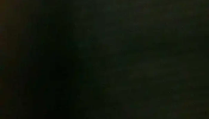 Barnys Videos - Atlántida