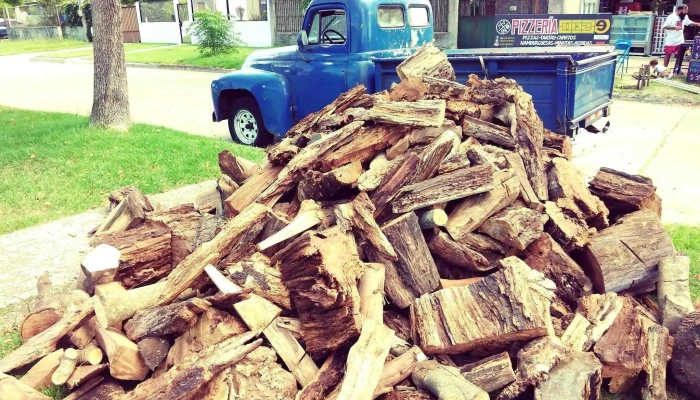 Barraca de leña.. La leñera - Nuñez De Arce