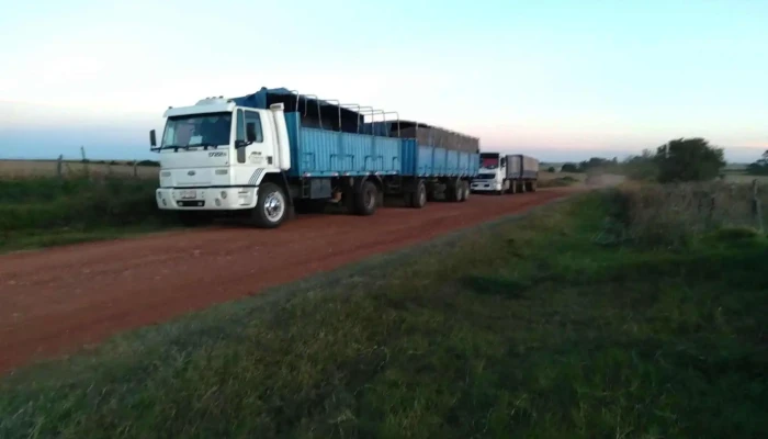 Barraca Erro S.a. - Check Point Nueva Palmira - Nueva Palmira