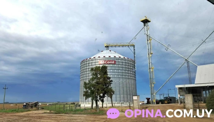 Barraca Falero - Florencio Sánchez