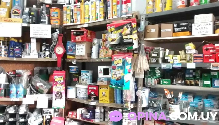 Barraca Pajas Blancas -  Interior - Pajas Blancas