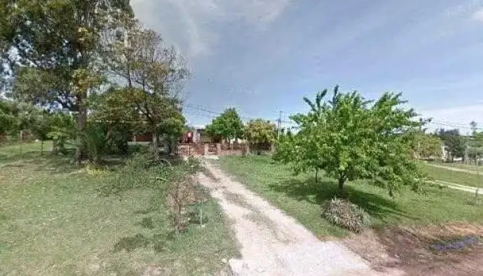 Barraca Pajas Blancas -  Preciosdeg - Pajas Blancas