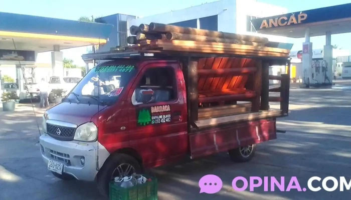 Barraca todo maderas - Juan 22