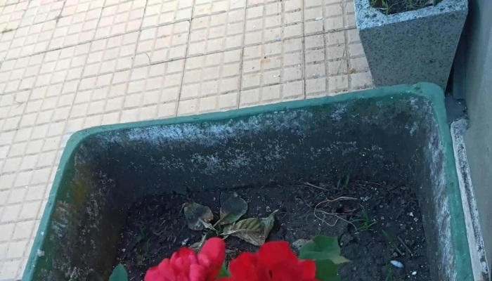 Barrio Jardin -  Complejo De Apartamentos - Paysandú