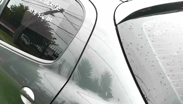 Barrio La Chancha -  Videos - Montevideo