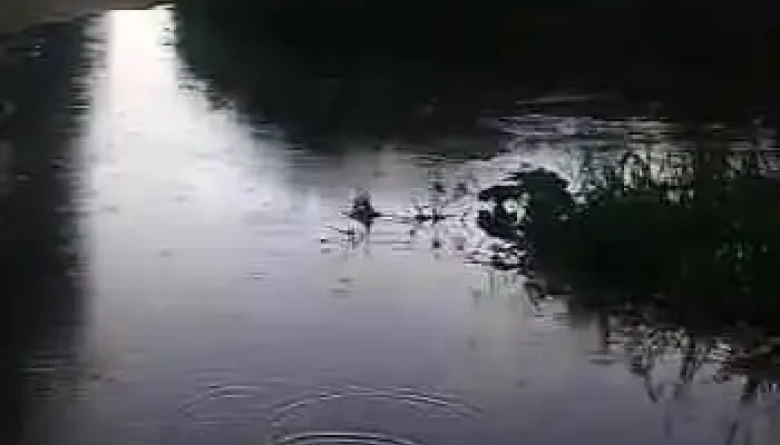 Barrio Paso Escobar -  Videos - Barros Blancos