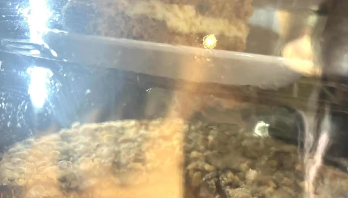 Baru Cafe Comentario 1 - Montevideo